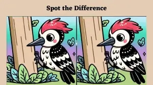 Optical Illusion Find and Seek Picture Puzzle: Only the greatest observer can spot  the 3 differences in the Woodpecker picture in 8 seconds