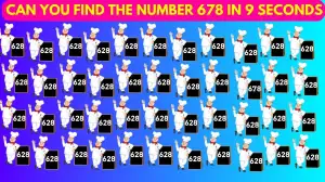 Optical Illusion Find and Seek Puzzle: Only HD Vision People Can Spot the Hidden 678 in 9 Secs