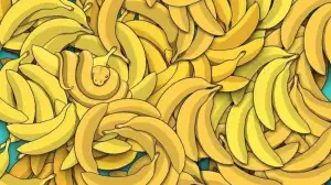 Optical Illusion for Testing Your IQ: Only geniuses can spot the Hidden Snake Among Bananas in 9 seconds