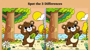 Optical Illusion Spot the Difference: Challenge your observation skills and spot 3 differences in this Little Bear picture in 15 seconds!