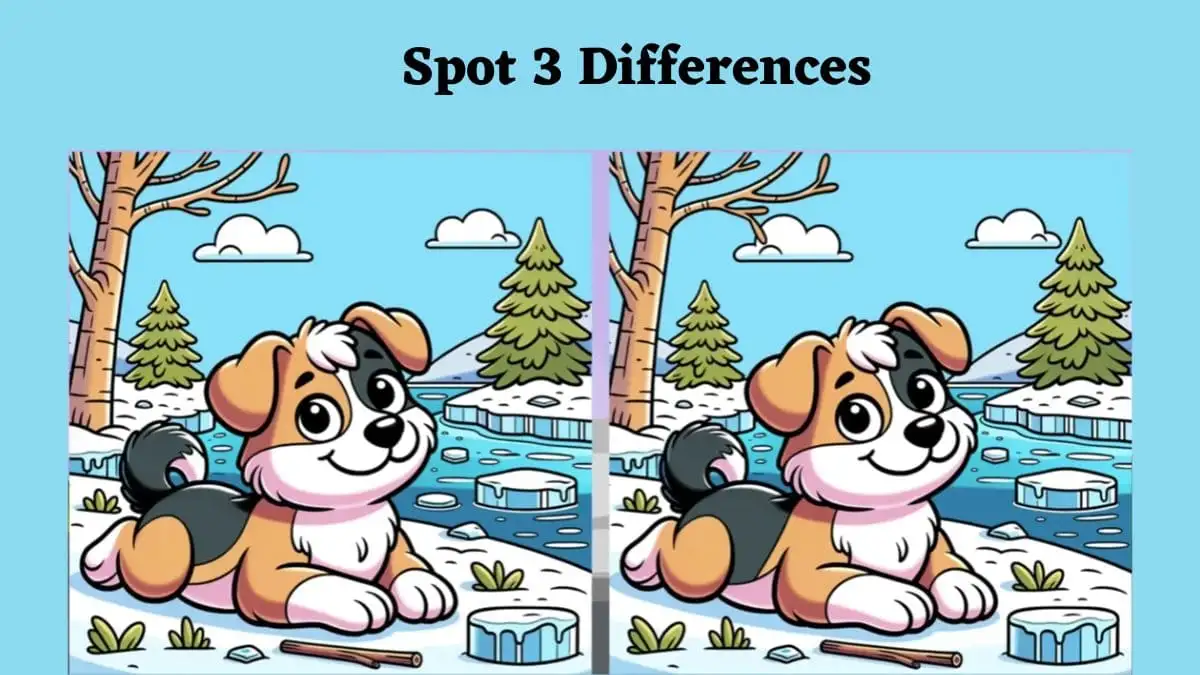 Optical Illusion Spot The Difference Picture Puzzle Game: Are you smart enough to spot 3 differences in the Dog pictures within 10 seconds?