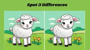 Optical Illusion Spot the Difference Picture Puzzle Game: Only People With Sharp Vision Can Spot the 3 Differences in this Little Lamb Image in 10 Secs