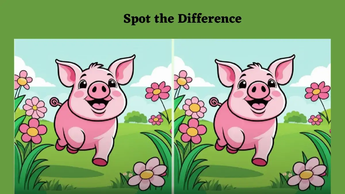 Optical Illusion Spot the Difference Picture Puzzle: Only the greatest observer can spot 3 differences in the Pig picture in 10 seconds