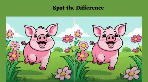 Optical Illusion Spot the Difference Picture Puzzle: Only the greatest observer can spot 3 differences in the Pig picture in 10 seconds