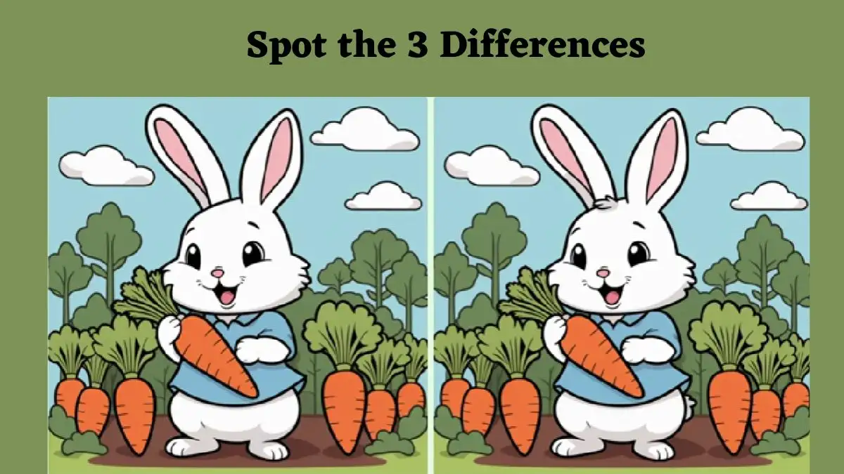 Optical Illusion Spot the Difference picture Puzzle: Only the most observant can spot the 3 differences in the Rabbit Eating Carrot Image in 10 Secs