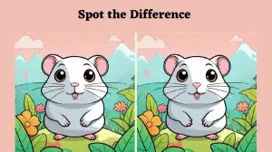 Optical Illusion Spot the Difference Picture Puzzle: Only true observers will be able to spot 3 differences in the Hamster picture within 8 seconds