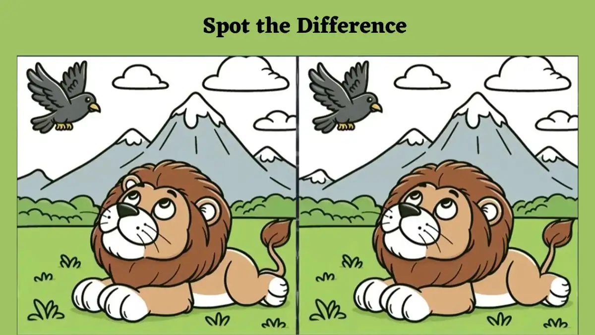 Optical Illusion Spot the Difference Picture Puzzle: Use your sharp eyes to spot 3 differences in the Lion picture in 8 seconds!