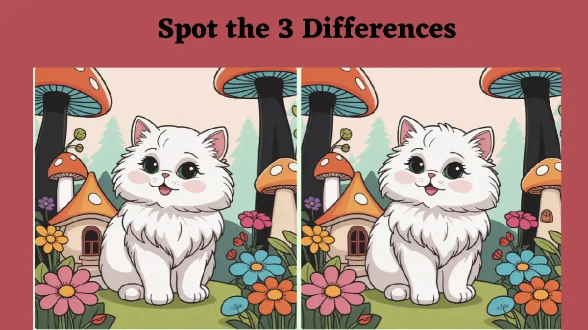 Optical Illusion Spot the Difference Picture Puzzle: Use your sharp eyes to spot 3 differences between the Cat pictures in 11 seconds!