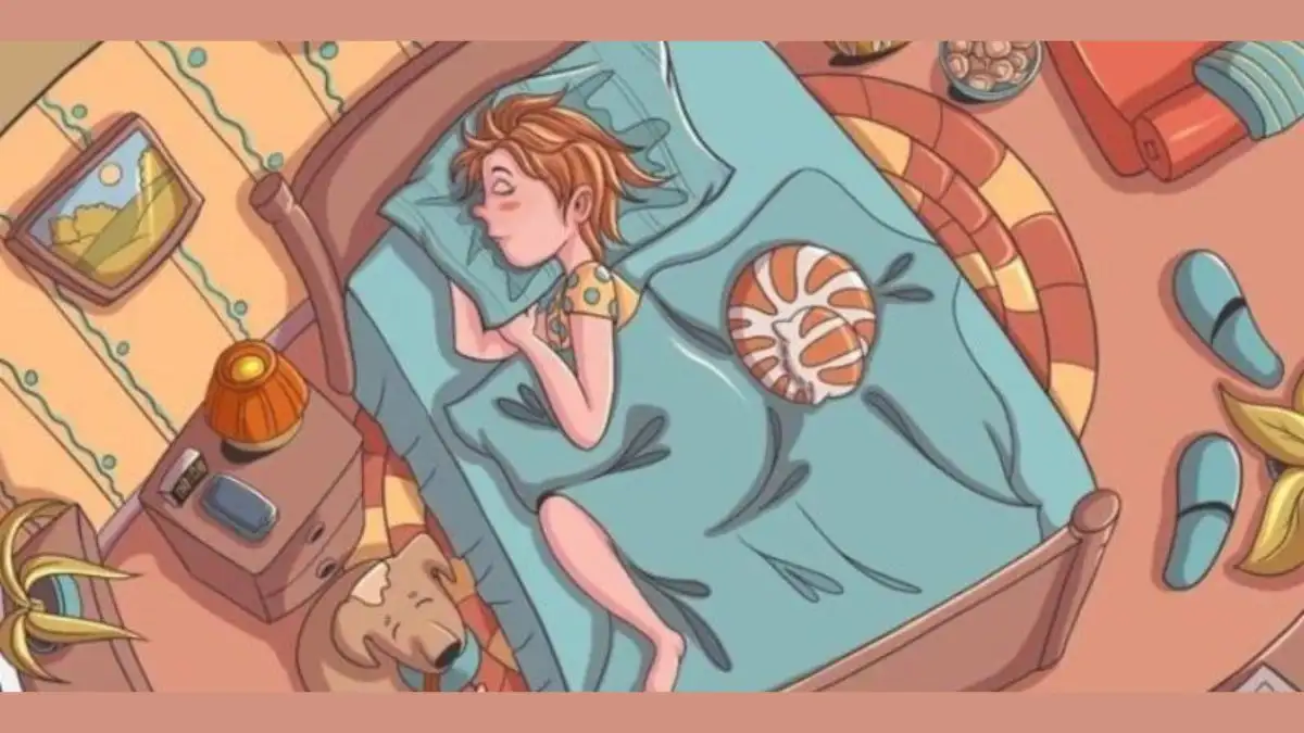 Optical Illusion Vision Test: Only 5% Can Spot the Hidden Bunny in the Girl's Bed Room Picture in 6 secs!