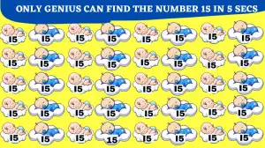 Optical Illusion Vision Test: Only the most excellent observers can spot the Hidden Number 15 within 5 seconds