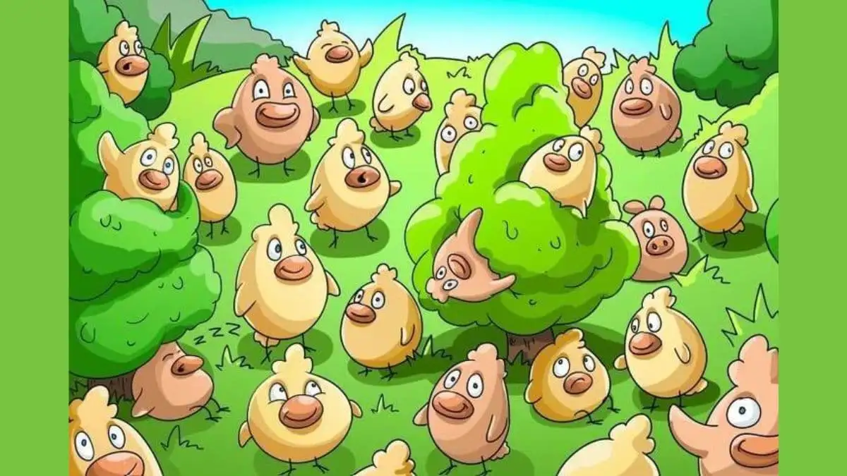 Optical Illusion Vision Test: Test your visual skills by spotting the Hidden Pig Among Chickens in the Picture within 6 secs!