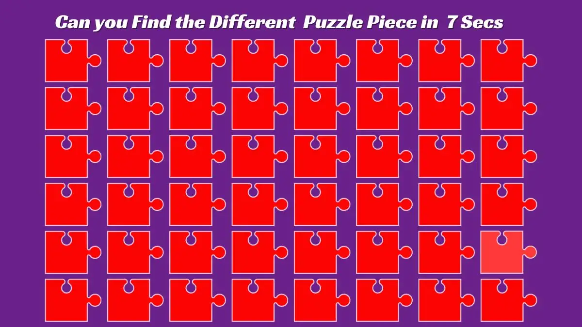 Optical Illusion Visual Test: Can you find the different puzzle piece in 6 seconds?