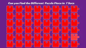 Optical Illusion Visual Test: Can you find the different puzzle piece in 6 seconds?