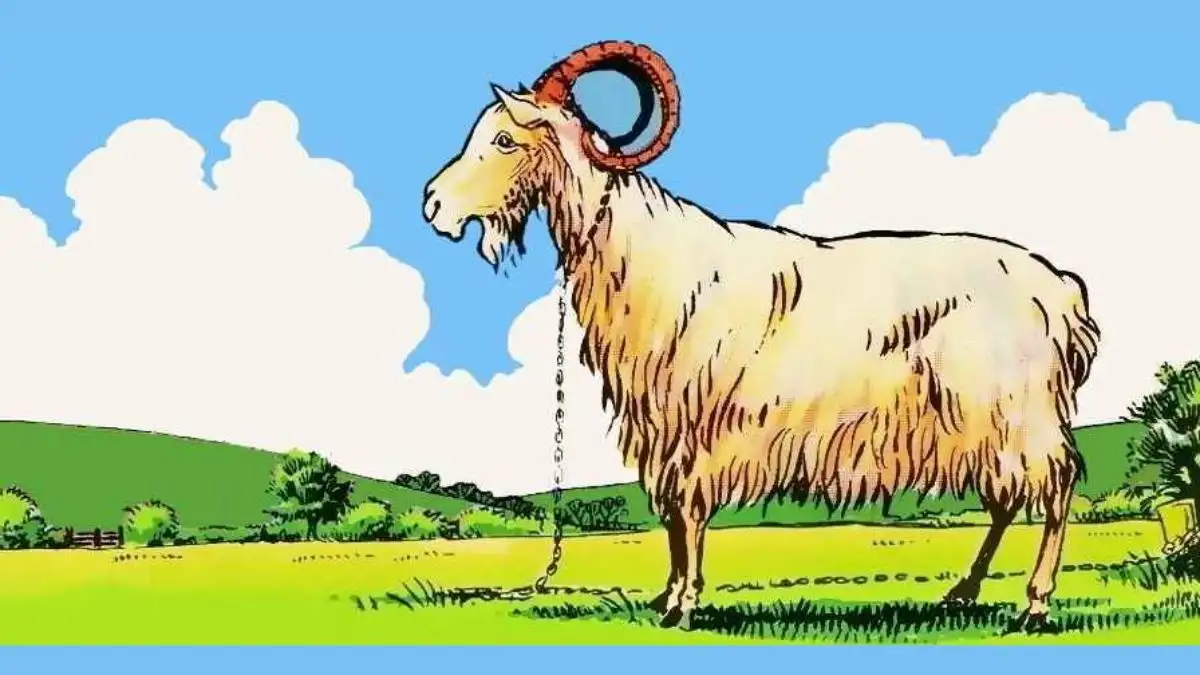 Picture Puzzle IQ Test: Are you smart? Then spot the mistake in the Goat Picture in 7 Secs