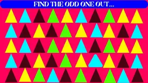 Picture Puzzles IQ Test: Only the top 2% of attentive people can spot the Odd Triangle in 6 Secs