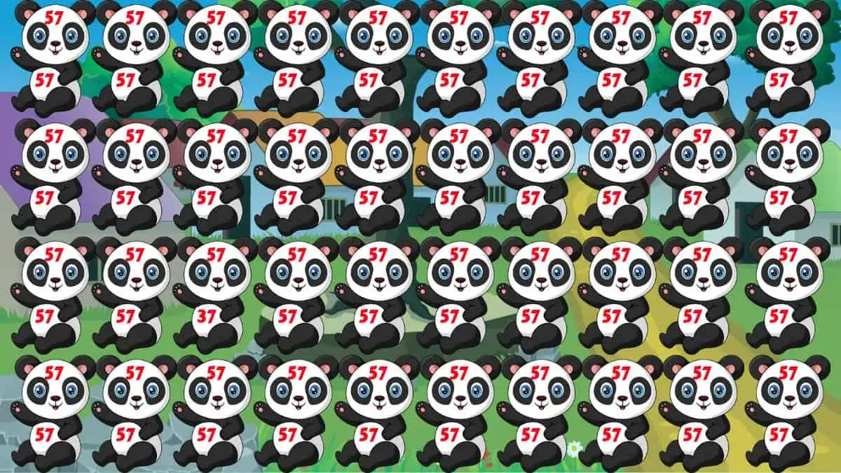 Puzzle to Testing Your Vision: Are You One of the 3% Who Can Spot the Number 37 among 57 in 7 Secs