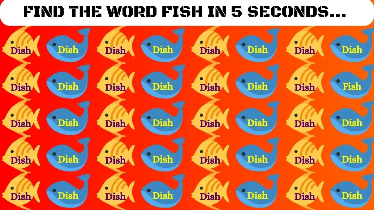 Seek and Find Puzzle: You are in the top 3% if you can spot the word Fish among Dish in 5 Secs