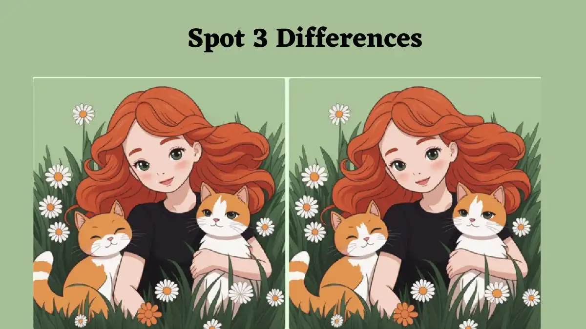 Spot the Difference Game: Can you spot 3 differences between the Girl and Cats pictures in 10 seconds?