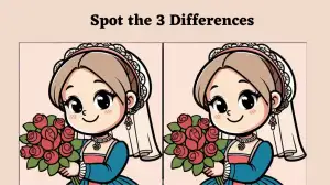 Spot the Difference Game: Only extra observant people can spot the 3 differences in the Bride Picture in 8 Secs