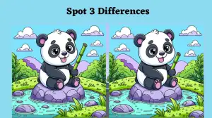 Spot the Difference Game: Only the cleverest minds can spot 3 differences in this Panda Picture in 10 second