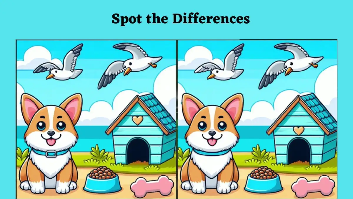 Spot the Difference Picture Puzzle Game: Are your eyes sharp enough to spot the difference between the Dog's House Picture in 15 seconds?