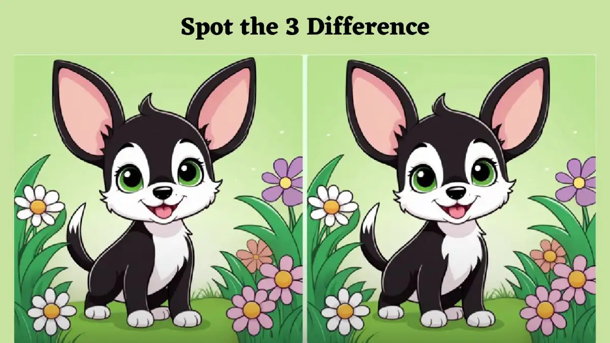 Spot the Difference Picture Puzzle Game: Only Extra Sharp Eyes Can Spot the 3 Differences in the Cat Image in 10 Secs