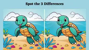 Spot the Difference Picture Puzzle Game: Only high-definition eyes Can Spot the 3 differences in the Turtle Picture in 12 Secs