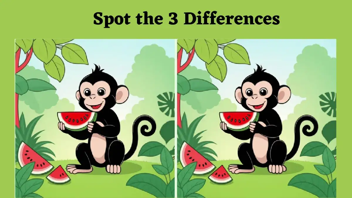 Spot the Difference Picture Puzzle Game: Only high-definition eyes Can Spot the 3 differences in the Monkey Eating Watermelon Picture in 12 Secs