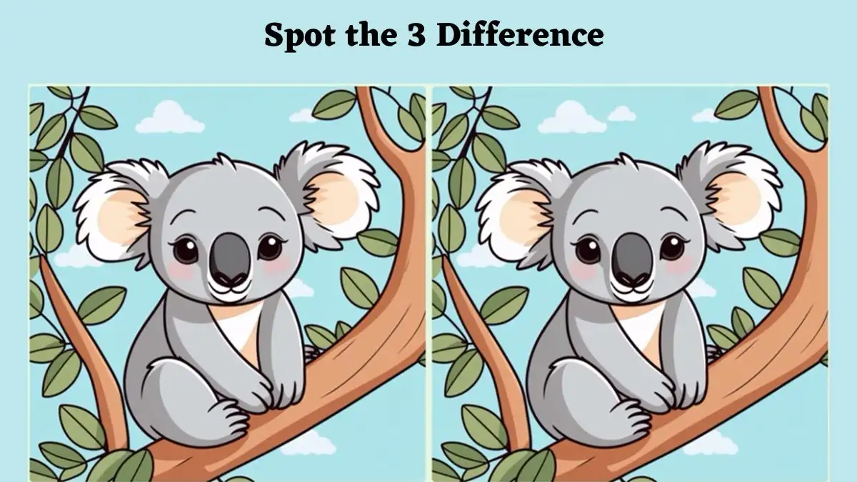 Spot the Difference Picture Puzzle Game: Only the most attentive eyes can spot 3 differences between the Koala pictures in 12 seconds!