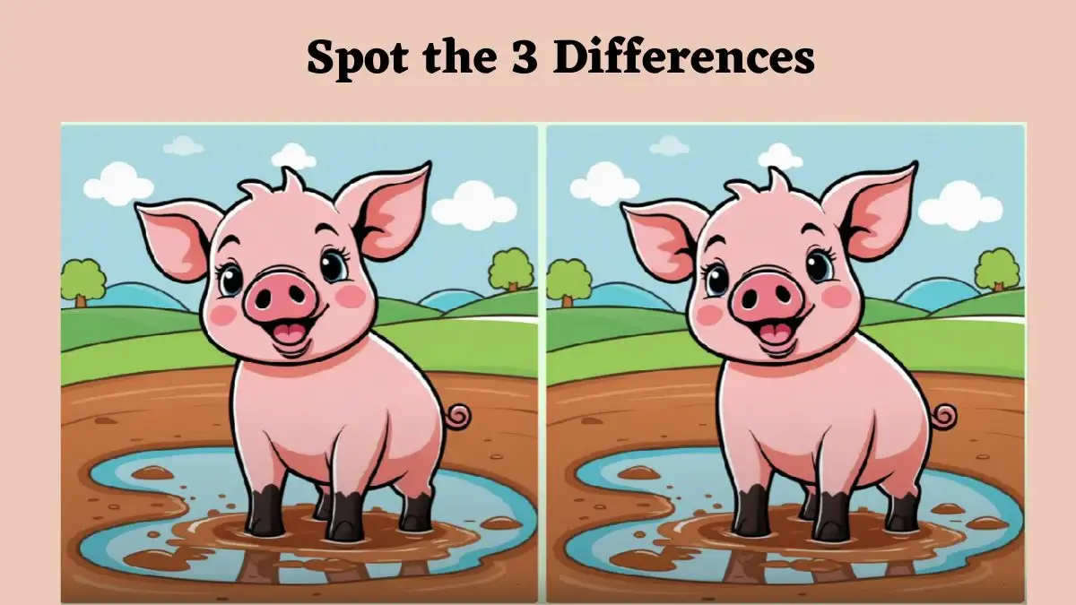 Spot the Difference Picture Puzzle Game: Only true observers will be able to spot 3 differences in the Pig picture within 10 Seconds