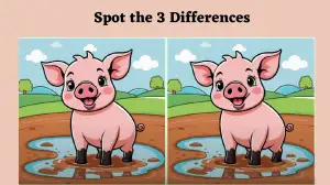 Spot the Difference Picture Puzzle Game: Only true observers will be able to spot 3 differences in the Pig picture within 10 Seconds