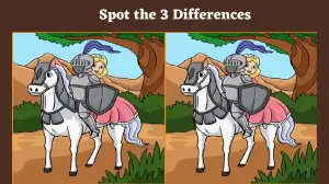 Spot the Difference Picture puzzle: Only smart people can spot 3 differences in this Image in 12 seconds