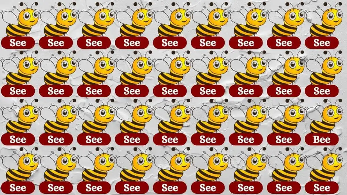 Test Visual Acuity: Only 10 Out Of 100 Can Find The Word Bee among See in 5 Secs