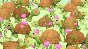 Test your Super vision power by finding Snail Hidden Among the Turtles in 6 Secs