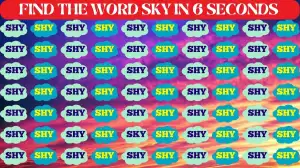 Test your vision by finding the word Sky among Shy in this Image within 6 seconds