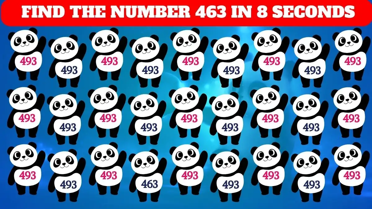 Test Your Vision Sharpness By Finding The Number 463 among 493. 10 Seconds Left!