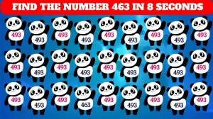 Test Your Vision Sharpness By Finding The Number 463 among 493. 10 Seconds Left!