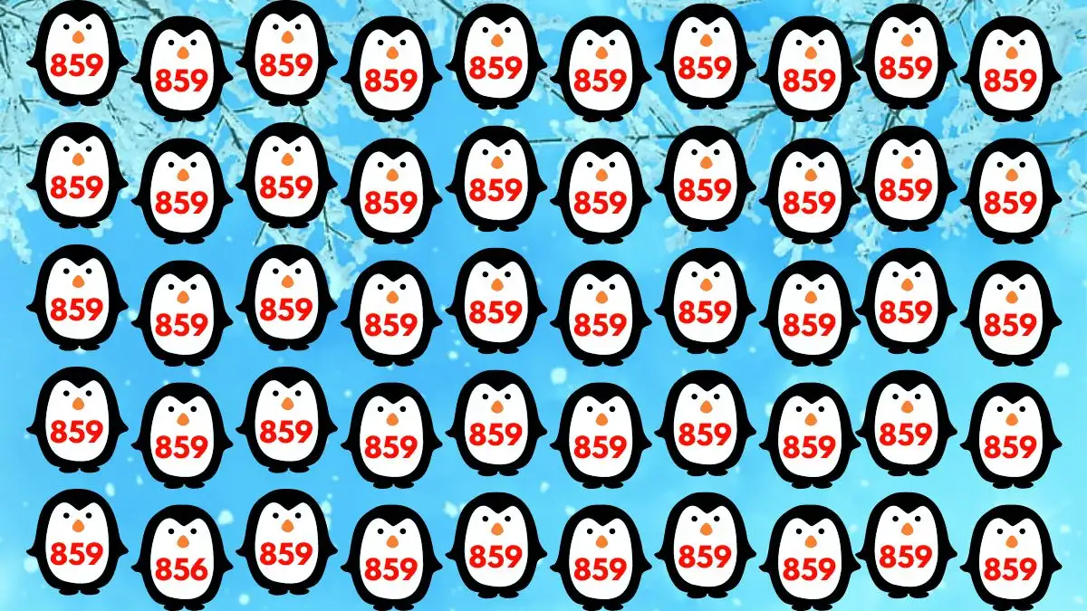 Test your visual prowess by finding the Number 856 among 859 in 8 seconds!