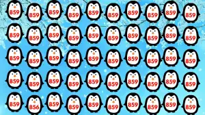 Test your visual prowess by finding the Number 856 among 859 in 8 seconds!