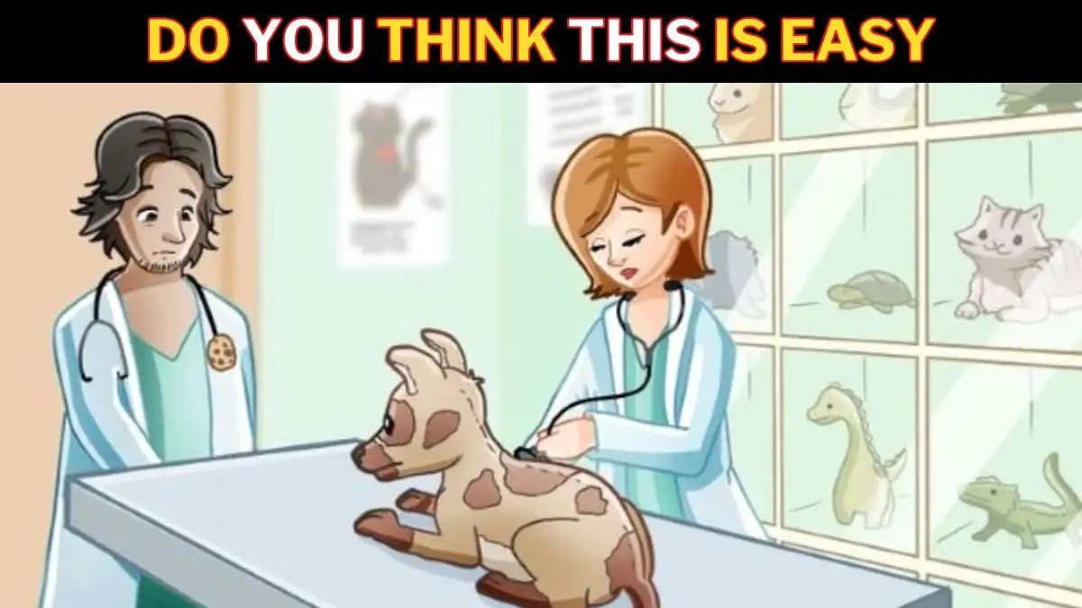 Brain Teaser For Geniuses: Only Extremely Observant People Can Spot Mistake In the Pets Clinic in 15 Seconds!