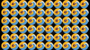 Brain Teaser For IQ Test: Only the 1% attentive can spot the Number 44 among 47 in 7 secs