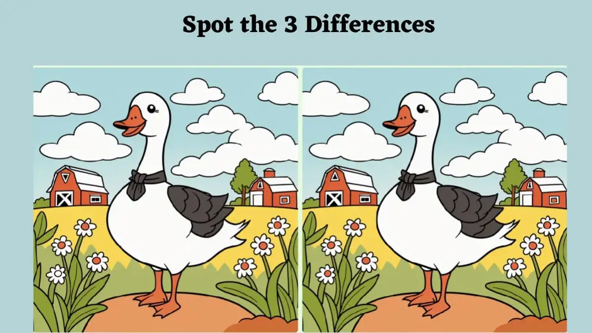 Brain Teaser Spot the Difference Challenge: Only a sharp brain can spot 3 differences in the Duck images within 10 seconds