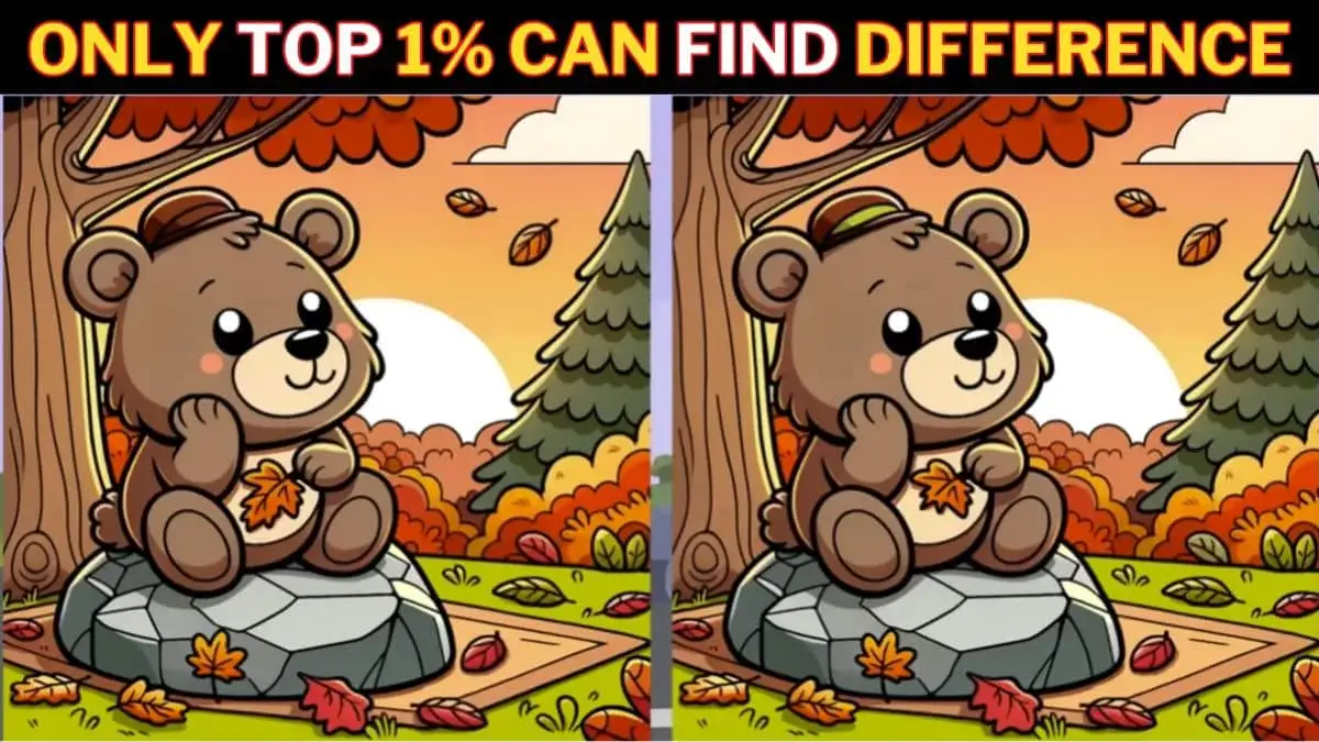 Brain Teaser Spot the Difference Game: Can you Find the 3 Differences in this Sad Bear Picture in 12 Secs