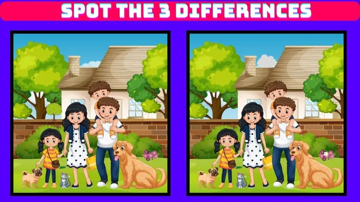 Brain Teaser Spot the Difference Game: Only Genius Can Spot the 3 Differences in this Family Pictutre in 12 Secs