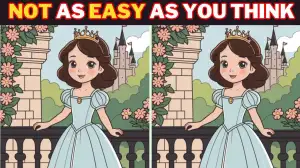 Brain Teaser Spot the Difference Game: Only Sharp Eyes Can Spot the 3 Differences in this Cinderella Image in 12 Secs