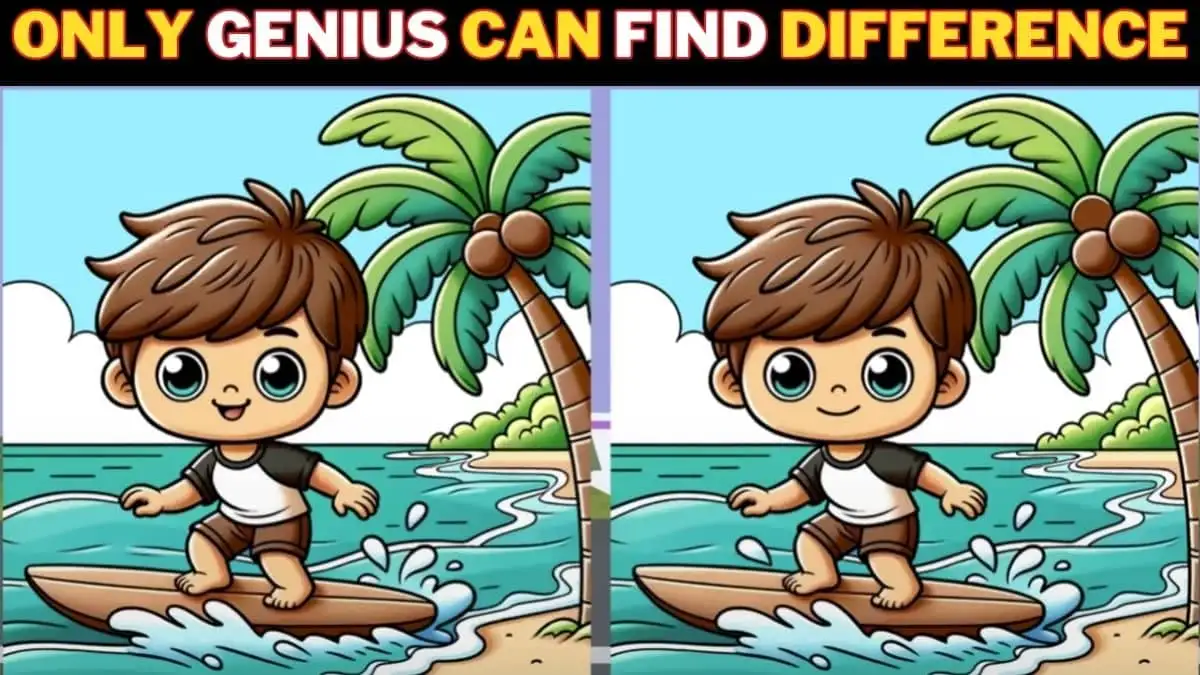 Brain Teaser Spot the Difference Game: Only Sharp Eyes Can Spot the 3 Differences in this Boy Surfing Image in 12 Secs