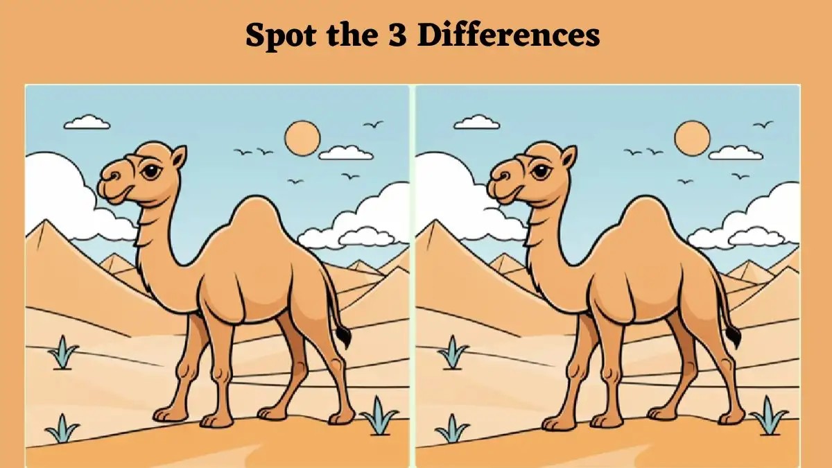 Brain Teaser Spot the Difference Game: Only the most observant can Spot the 3 Differences in this Camel Image in 10 Secs