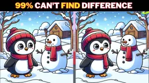 Brain Teaser Spot the Difference Game: Try and spot 3 differences in the Penguin and Snowman picture in 12 seconds!