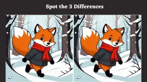 Brain Teaser Spot the Difference Picture Puzzle: Are your eyes sharp enough to spot the 3 differences in this Fox Image in 10 Secs