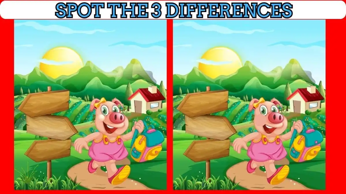 Brain Teaser Spot the Difference Picture Puzzle: Only 10% of People can spot the 3 Differences in this Pig Image in 10 Secs